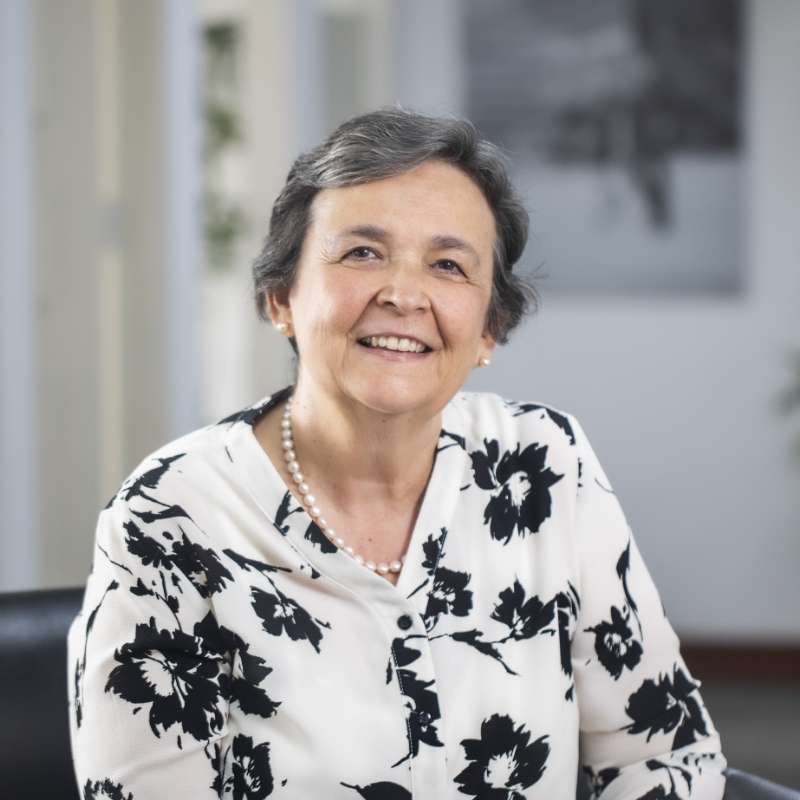 Rosario Almenara vicepresidente consultora desde 2003
